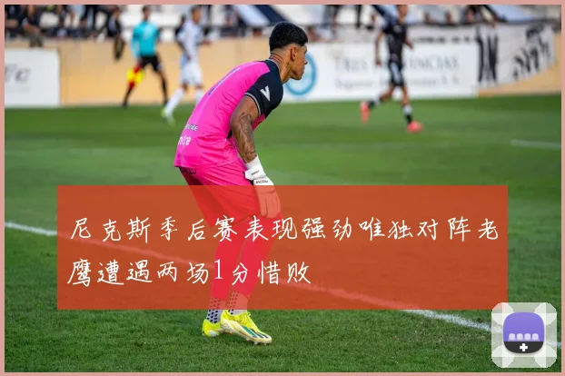尼克斯季后赛表现强劲唯独对阵老鹰遭遇两场1分惜败